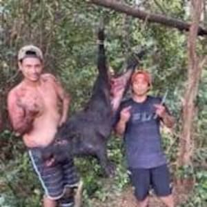 Meet your Posher, Joshua